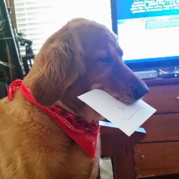 Meet your Posher, Tommy - Picture 1 of 1